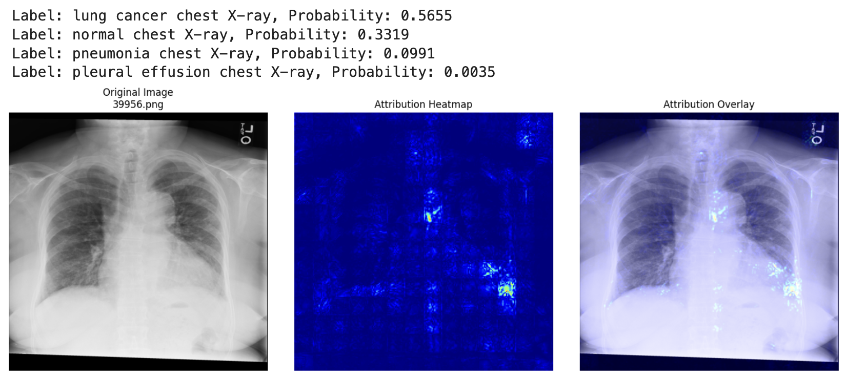 Explainability Results