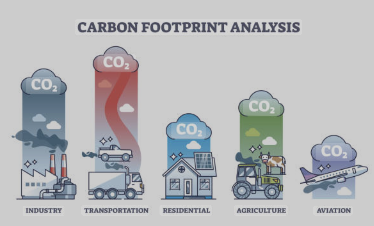 Carbon Campus Project Visual