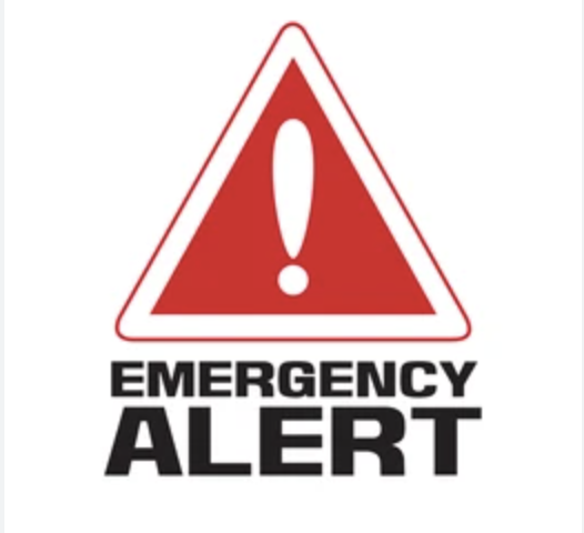 Disaster Alert System Project Visual